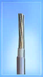 Провод ВВП-1,3